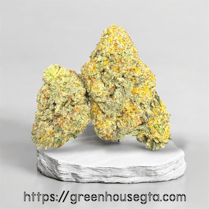 Tangerine Dream Sativa cannabis buds close-up with citrus terpene profile – same-day weed delivery Toronto
