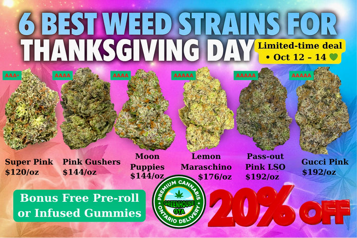 6 best weed strains for Thanksgiving 2025 – Danksgiving cannabis deal Toronto by GreenHouseGTA