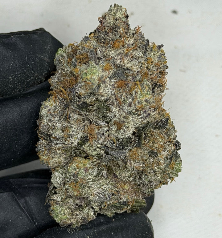 Tropic Truffle 🍍 ALL PRODUCTS FLOWERS SATIVA
