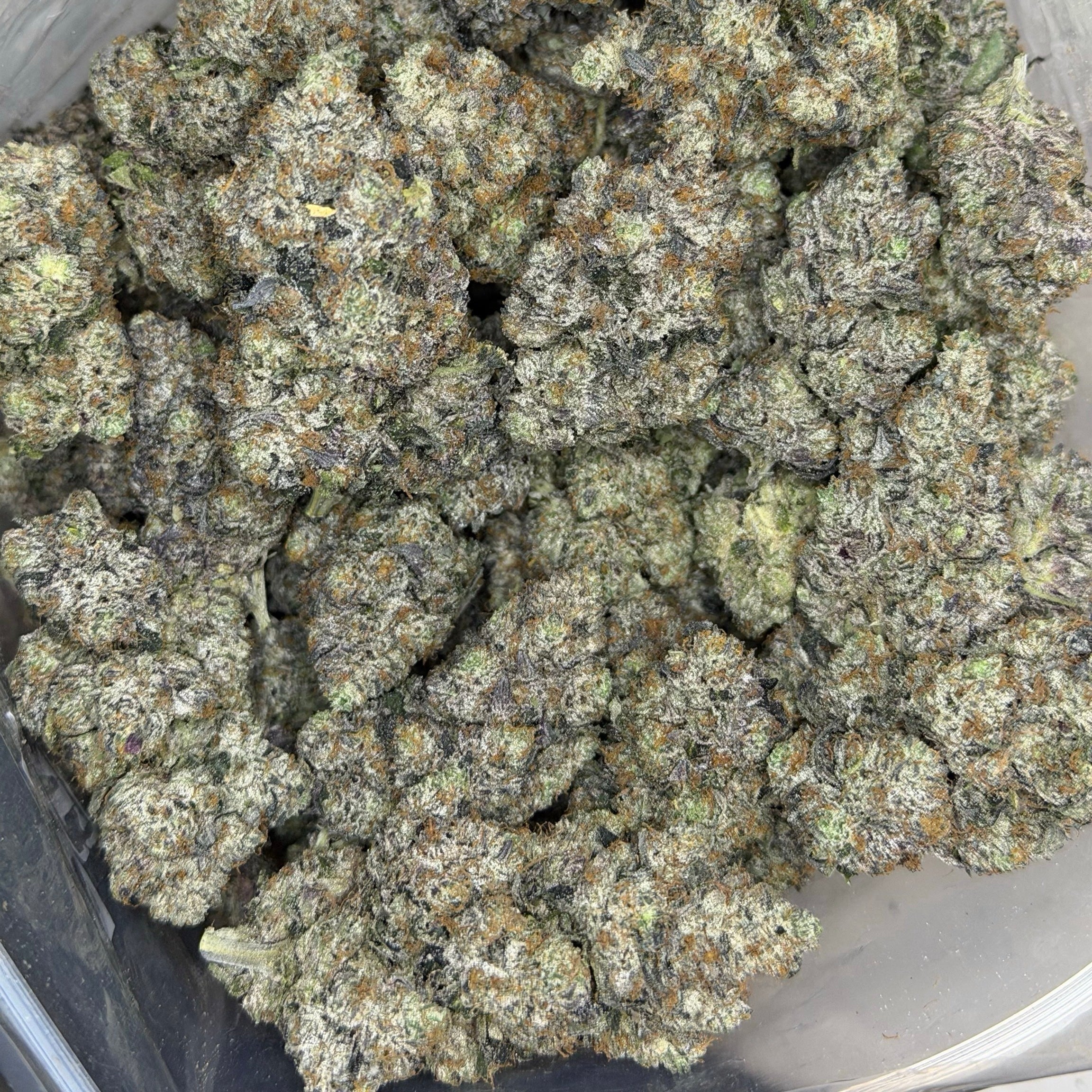 Tropic Truffle AAAAA Sativa sticky resin-coated purple buds premium craft flower Toronto