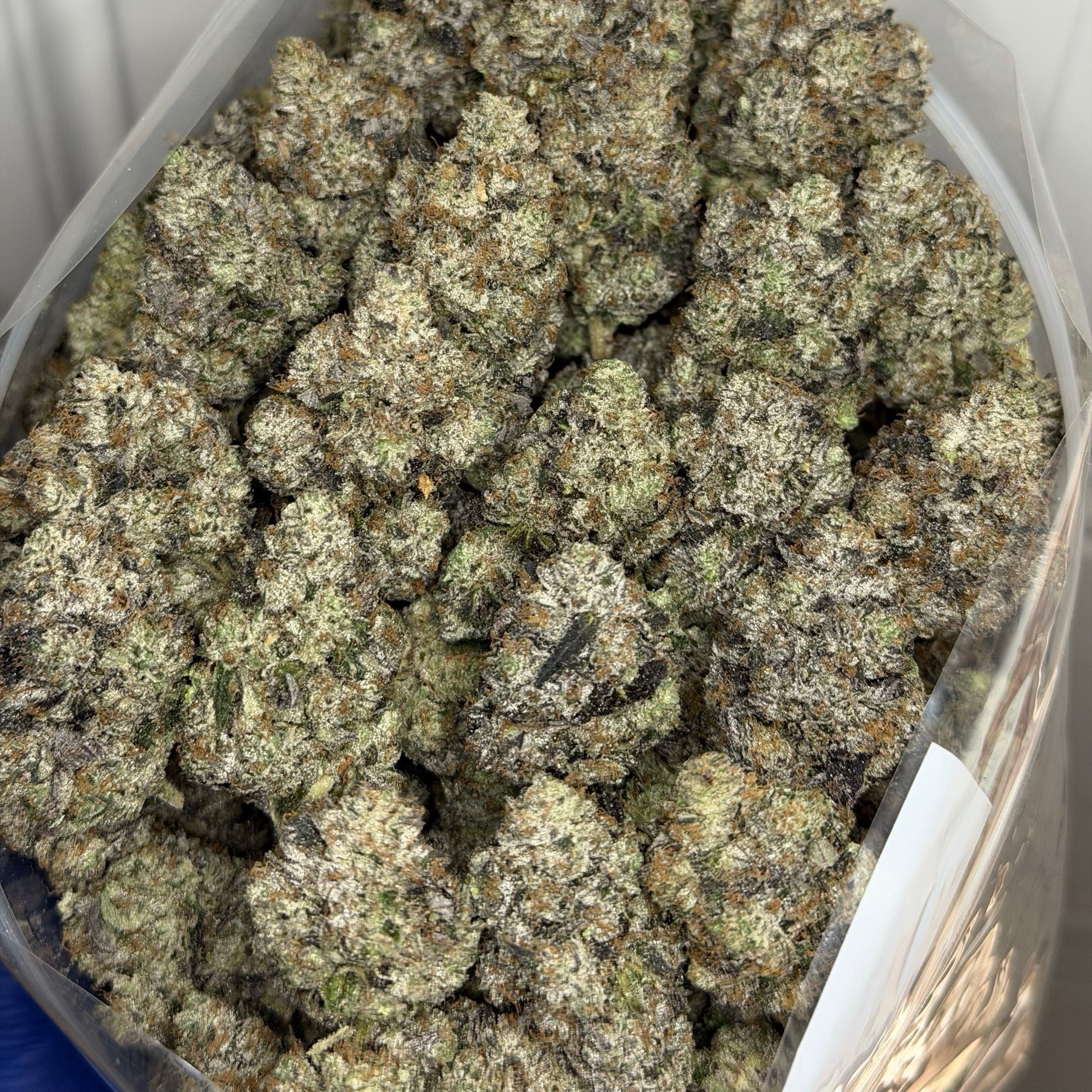 Tropical Crazy Airheads exotic tropical gas buds same day weed delivery Toronto