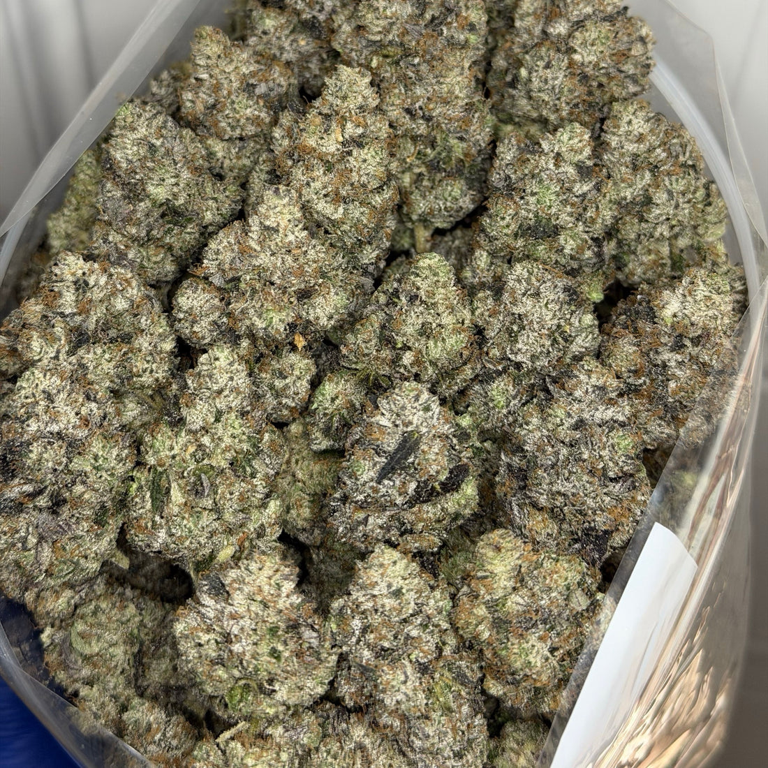 Tropical Crazy Airheads exotic tropical gas buds same day weed delivery Toronto