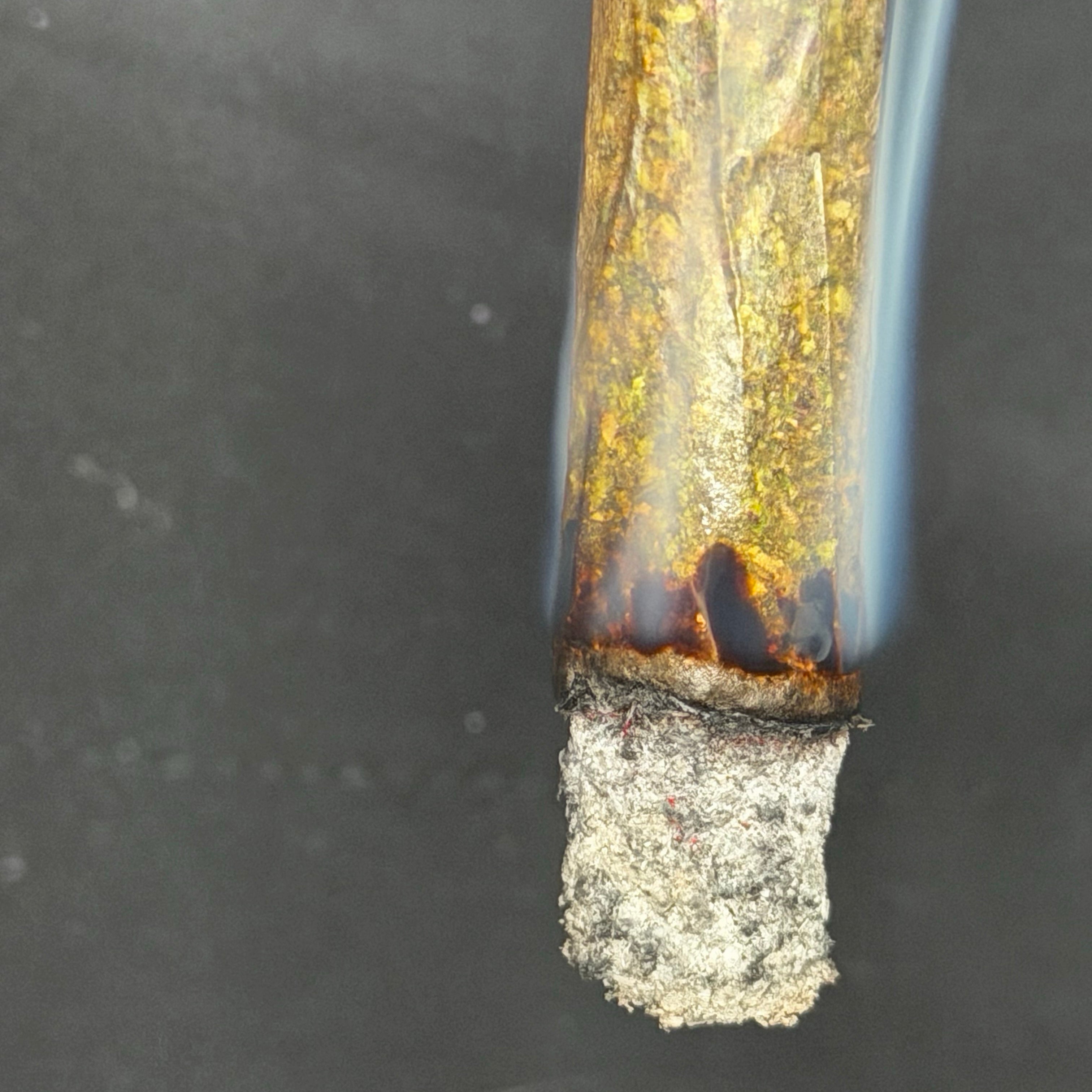 Tropical Crazy Airheads clean burn white ash AAAAA hybrid weed Toronto