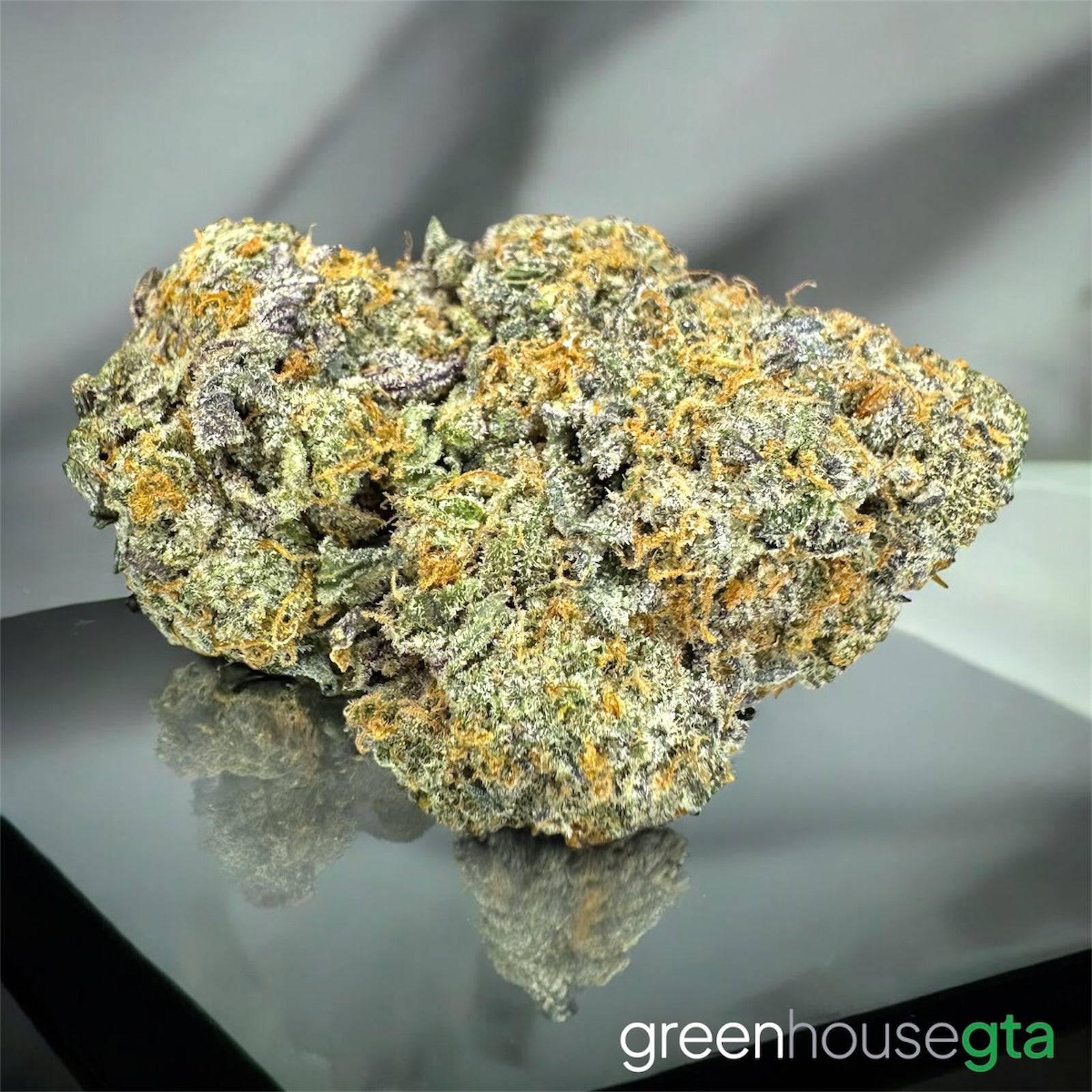 Tropical Lemonade AAA Sativa 27% THC – same-day weed delivery Toronto