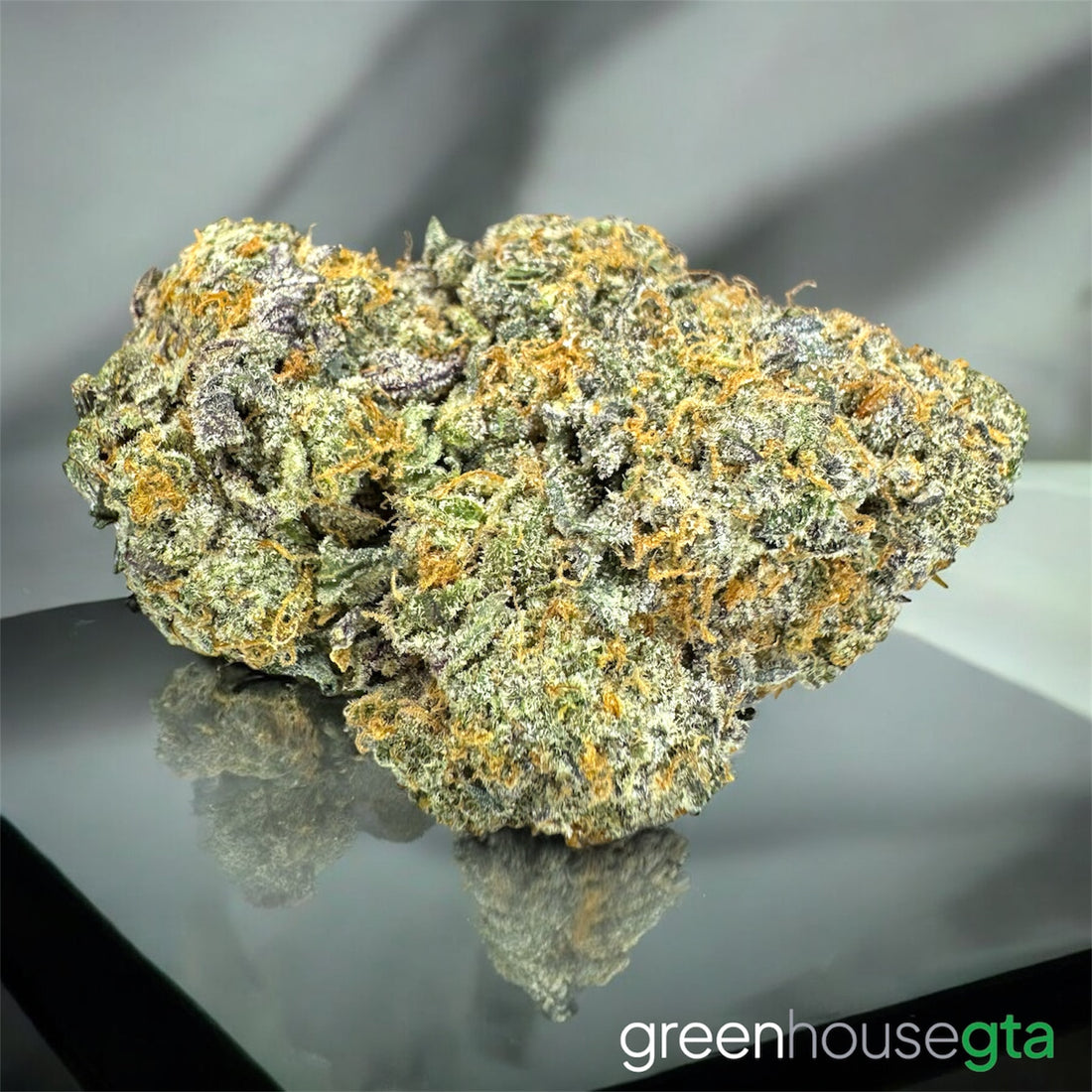 Tropical Lemonade AAA Sativa 27% THC – same-day weed delivery Toronto