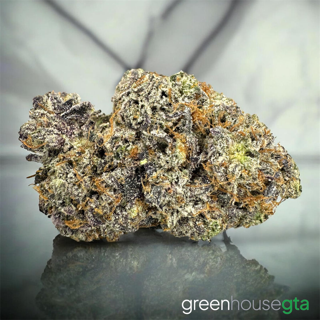 Waygu StarPink Blaster AAAA+ Indica strain 34 percent THC sticky purple gas bud Toronto weed delivery