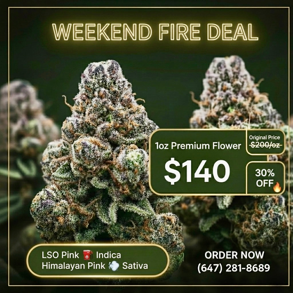 30% off AAAA+ premium weed Weekend Fire Deal – LSO Pink indica Himalayan Pink sativa Toronto same day delivery