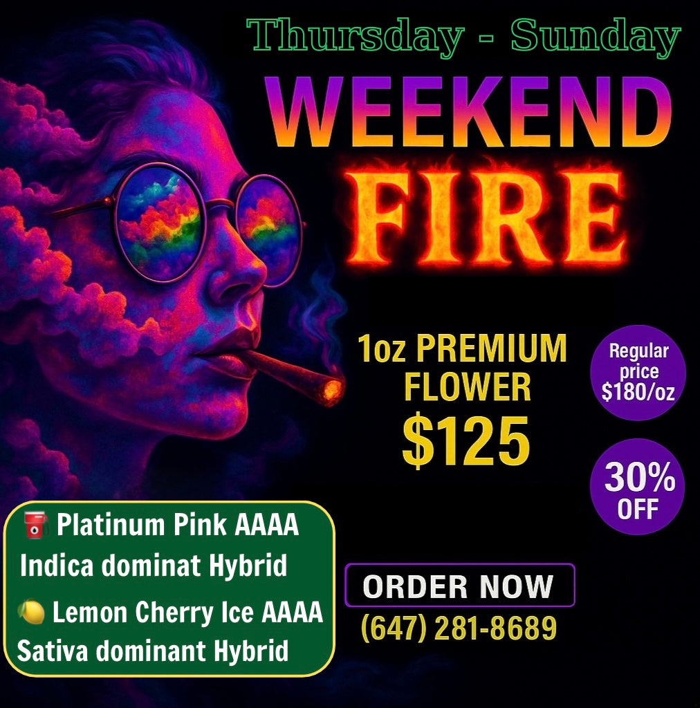 Weekend Fire Deal Toronto – $125 ounce AAAA premium flower – Platinum Pink and Lemon Cherry Ice – same-day weed delivery GTA