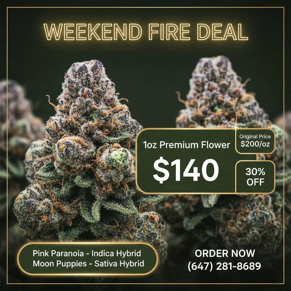 Weekend Fire Deal weed delivery Toronto – 1oz premium AAAA flower $140, Pink Paranoia Indica Hybrid and Moon Puppies Sativa Hybrid, same-day cannabis delivery GTA
