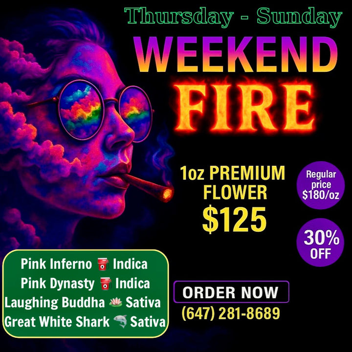 Weekend Fire weed deal Toronto – 1oz premium flower $125, 30% OFF, Pink Inferno Indica, Pink Dynasty Indica, Laughing Buddha Sativa, Great White Shark Sativa – same-day cannabis delivery GTA at GreenHouseGTA