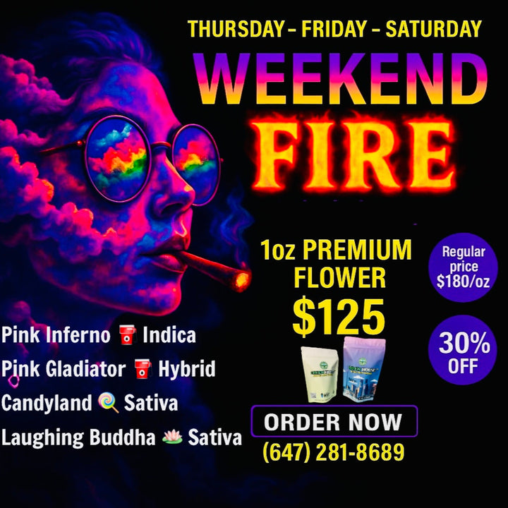 Weekend Fire cannabis deal – 4 premium strains Pink Inferno Indica, Pink Gladiator Hybrid, Candyland Sativa, Laughing Buddha Sativa – $125/oz AAAA same-day weed delivery Toronto GTA