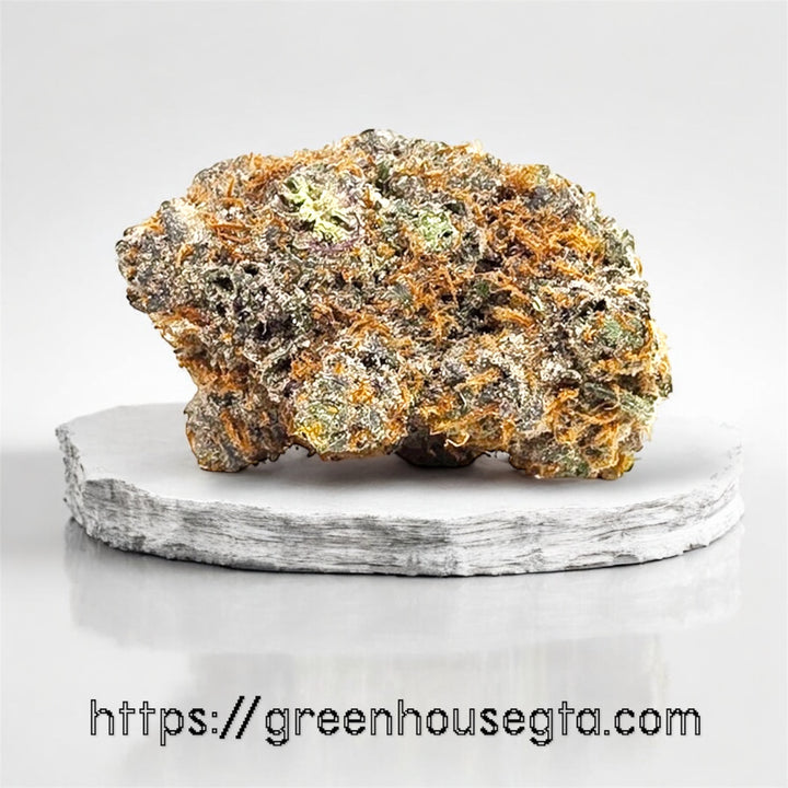 West Coast Diesel AAA+ Sativa 30% THC – frosty dark green buds with diesel and sour aroma – Toronto weed delivery
