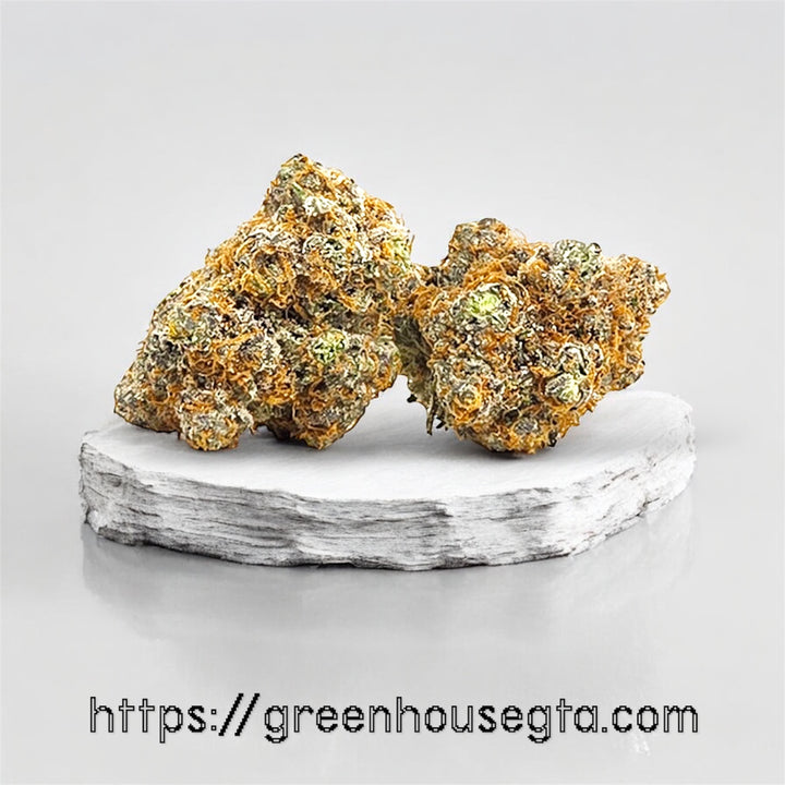 West Coast Diesel AAA+ Sativa – medium frosty buds with fuel-like sour terpene profile – same-day cannabis delivery Toronto GTA

