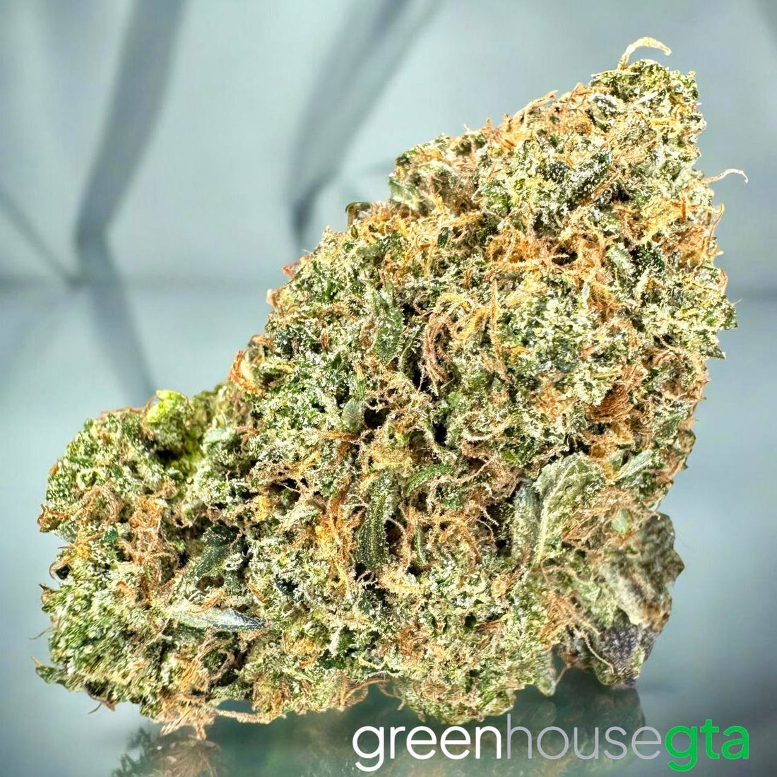 Super Mango Haze