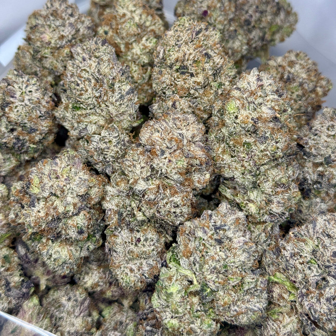 Bulk buds of Pink Vendetta strain – AAAAA Indica-Dominant Hybrid – 37% THC – Craft gas – Weed delivery Toronto GreenHouseGTA
