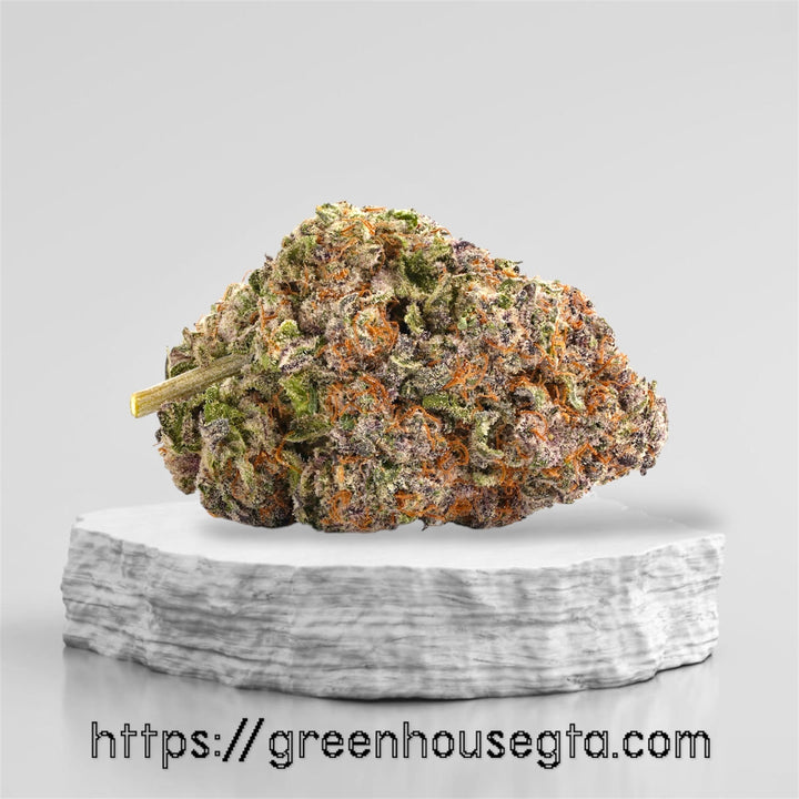 Pink Whip strain AAAA sativa – strawberry cream weed delivery Toronto