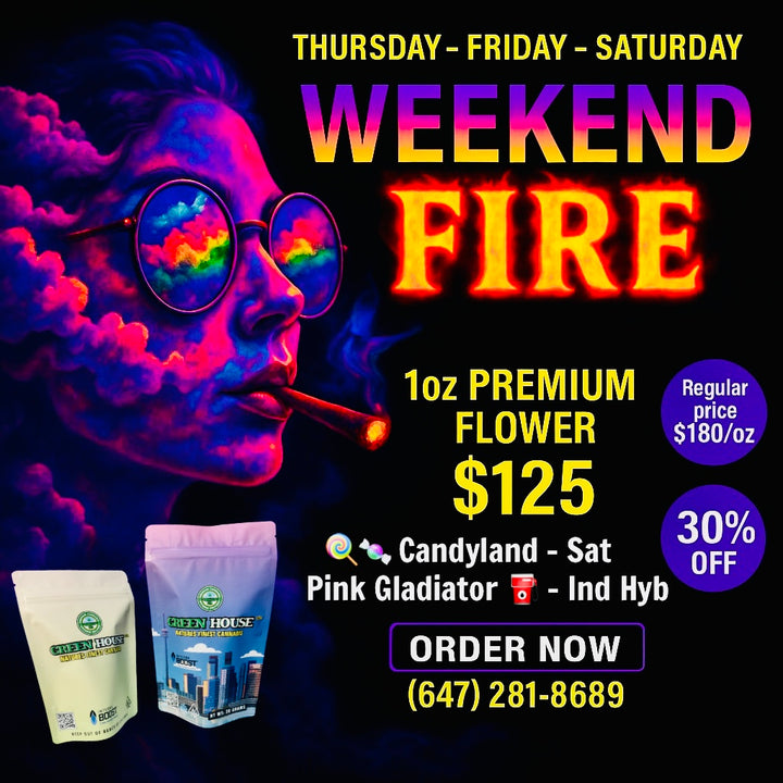 Weekend Fire cannabis deal Toronto – 1oz premium flower $125 (Candyland Sativa, Pink Gladiator Indica Hybrid) – GreenHouseGTA weed delivery GTA
